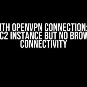 Issue with OpenVPN Connection: Access to EC2 Instance but No Browser Connectivity