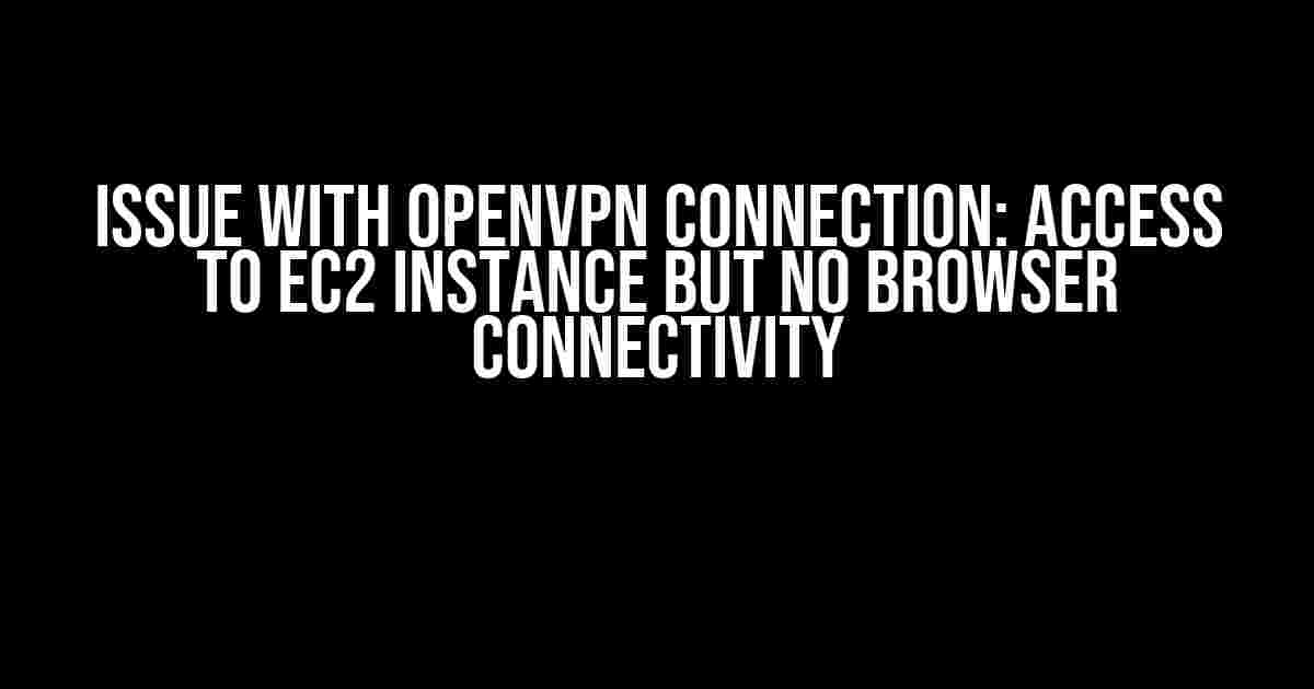 Issue with OpenVPN Connection: Access to EC2 Instance but No Browser Connectivity